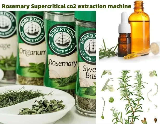 20241120161431 20241120161431